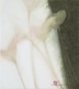 호응 1223